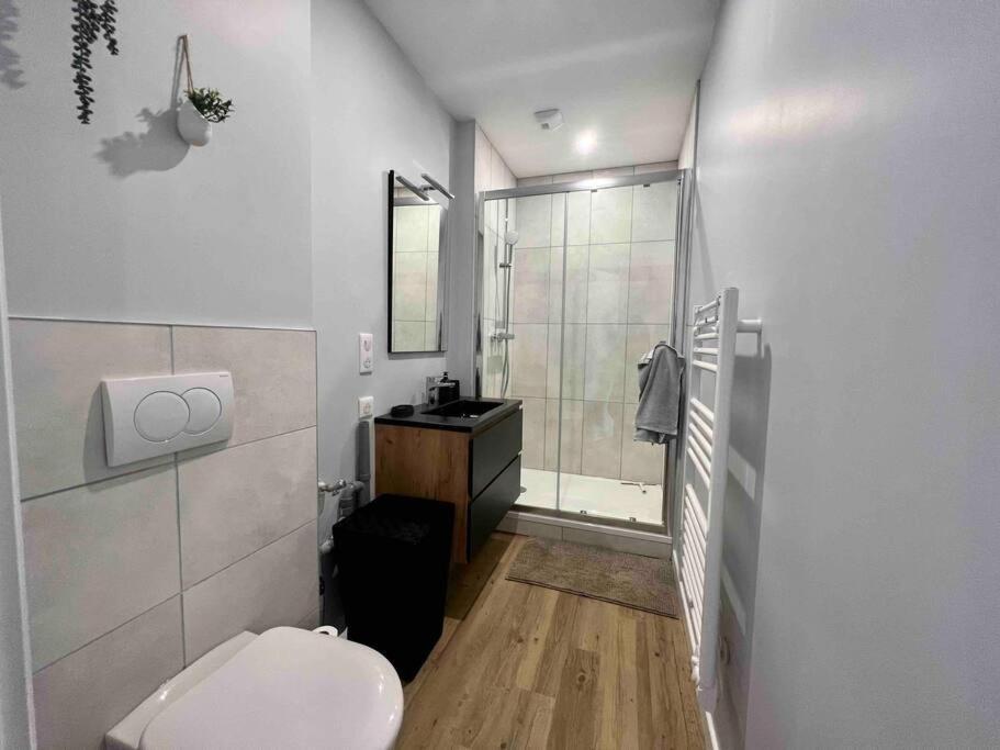 Appartement Climatise 4 Personnes / Centre-Ville Besançon Kültér fotó